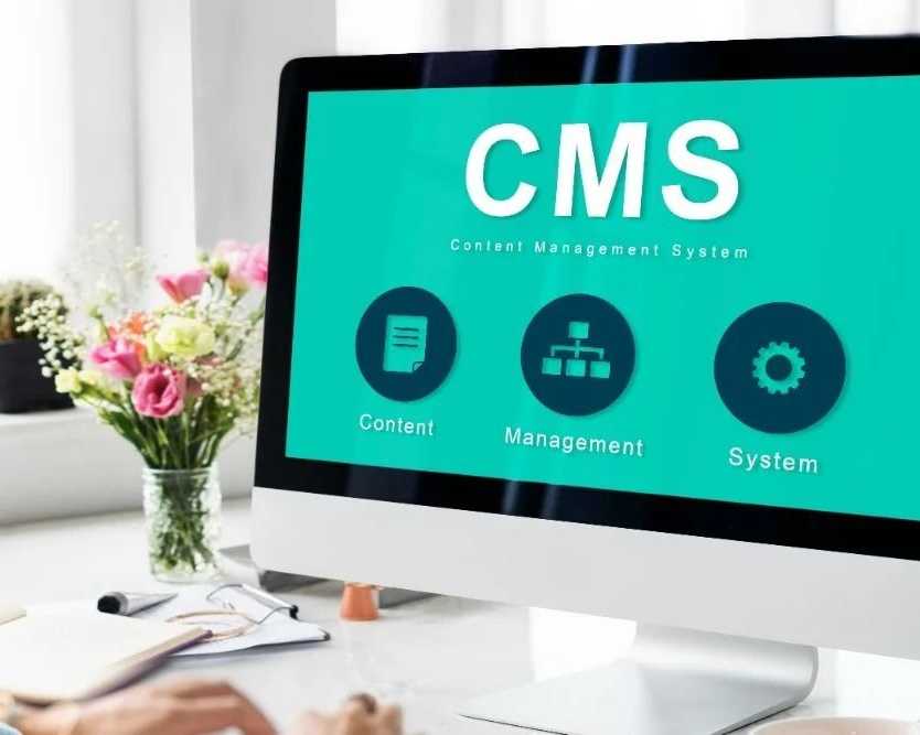 cms-website-development-company-india-by-matrix-bricks-india
