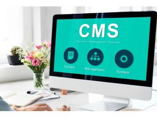cms-website-development-company-india-by-matrix-bricks-india-small-0