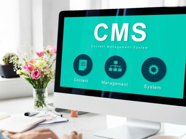 cms-website-development-company-india-by-matrix-bricks-india