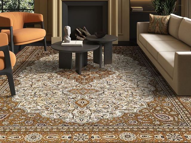 stylish-living-room-area-rugs