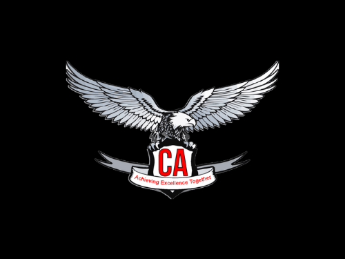 master-the-icai-exam-with-ca-test-series