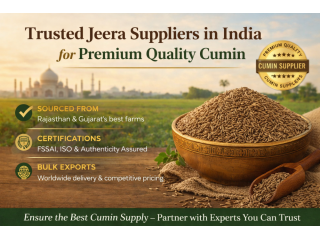 trusted-jeera-suppliers-in-india-for-premium-quality-cumin-small-0
