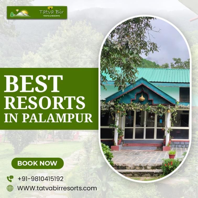 best-resorts-in-palampur-for-a-memorable-mountain-escape-big-0