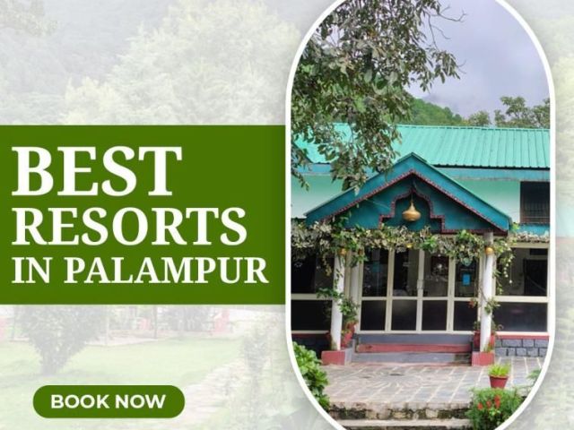 best-resorts-in-palampur-for-a-memorable-mountain-escape