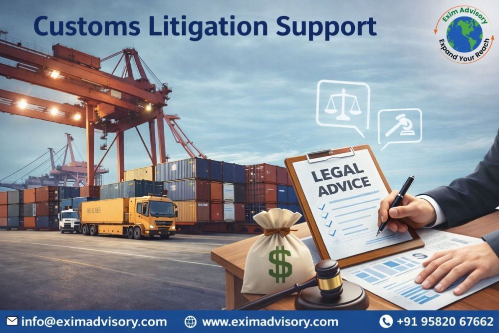 expert-customs-litigation-support-in-india-exim-advisory-big-0