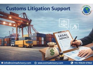 expert-customs-litigation-support-in-india-exim-advisory-small-0