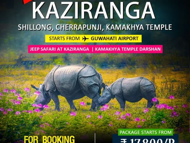 kaziranga-shillong-cherrapunji-tour-packages-from-guwahati
