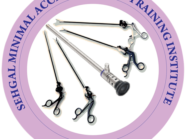 smasti-delhi-laparoscopic-training-for-surgeons
