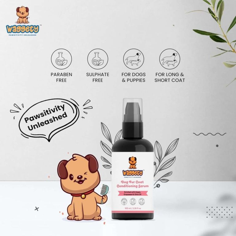 premium-dog-accessories-grooming-products-for-every-pup-big-2