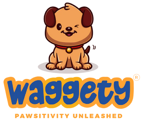 premium-dog-accessories-grooming-products-for-every-pup-big-3