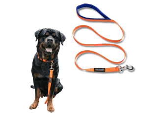 premium-dog-accessories-grooming-products-for-every-pup-small-0