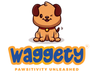 premium-dog-accessories-grooming-products-for-every-pup-small-3