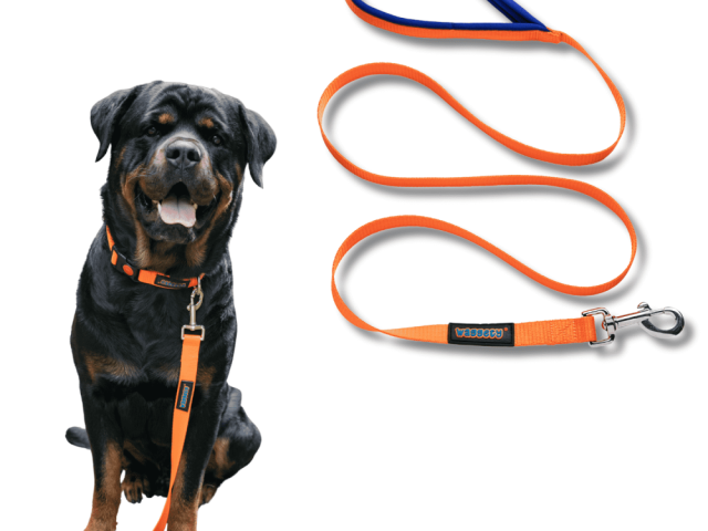 premium-dog-accessories-grooming-products-for-every-pup