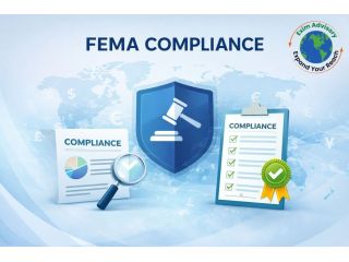 professional-fema-compliance-services-in-india-exim-advisory-small-0