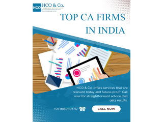 why-are-top-ca-firms-in-india-important-for-financial-growth-small-0