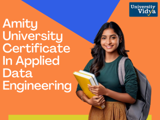 amity-university-certificate-in-applied-data-engineering-small-0