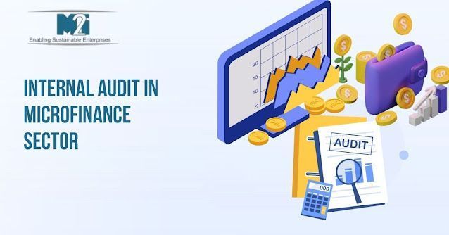 professional-internal-audit-in-microfinance-sector-solutions-big-0