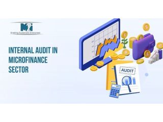 professional-internal-audit-in-microfinance-sector-solutions-small-0