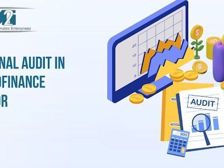 professional-internal-audit-in-microfinance-sector-solutions