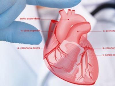 saroj-hospital-a-trusted-name-for-cardiology-treatment-in-delhi
