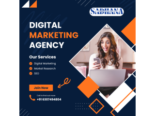 professional-digital-marketing-company-lucknow-small-0