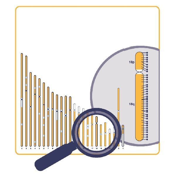 d024-karyoprofiler-for-genomic-analysis-advanced-karyotyping-big-0