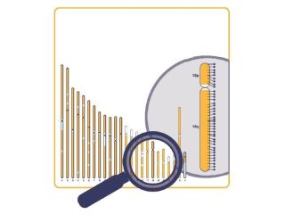 d024-karyoprofiler-for-genomic-analysis-advanced-karyotyping-small-0