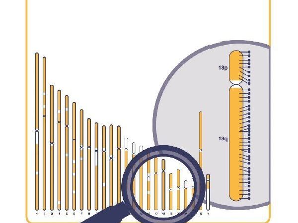 d024-karyoprofiler-for-genomic-analysis-advanced-karyotyping