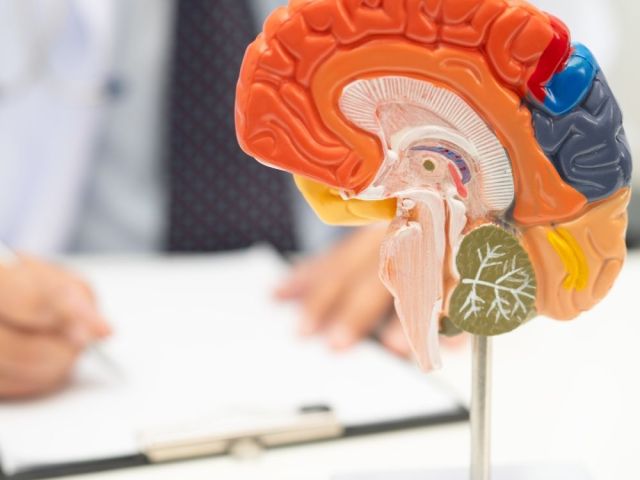 brain-tumor-treatment-in-ahmedabad-with-modern-medical-support