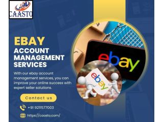 ebay-account-management-services-expert-seller-solutions-small-0