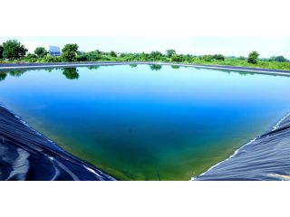 best-pond-liner-solutions-for-rainwater-harvesting-in-agriculture-small-0