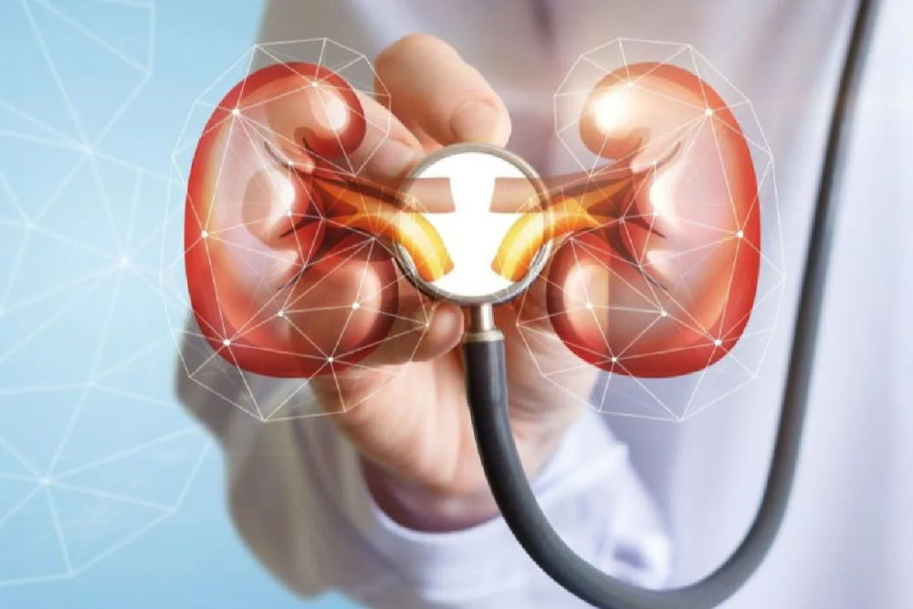 nephrology-hospital-in-gujarat-big-0