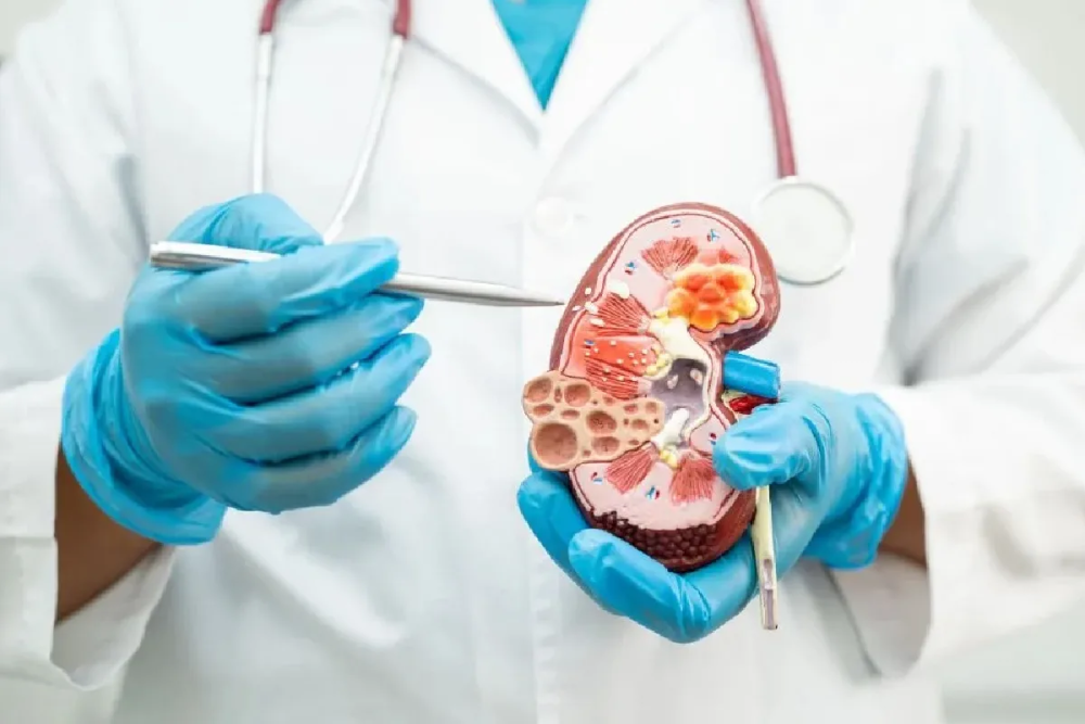 nephrology-hospital-in-gujarat-big-1