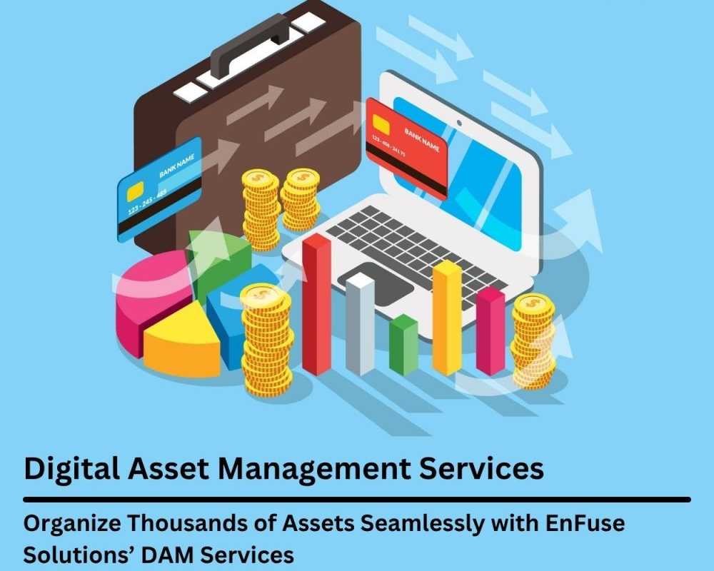 organize-thousands-of-assets-seamlessly-with-expert-dam-services
