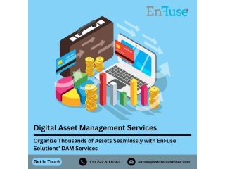 organize-thousands-of-assets-seamlessly-with-expert-dam-services-small-0
