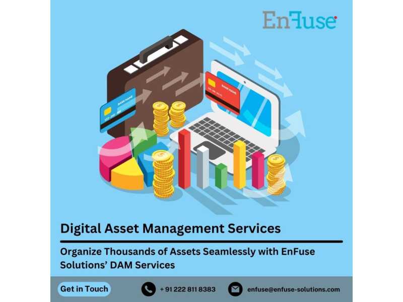 organize-thousands-of-assets-seamlessly-with-expert-dam-services-small-0
