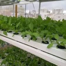 farm-mechanized-products-manufacturer-exporter-aspeess-big-0