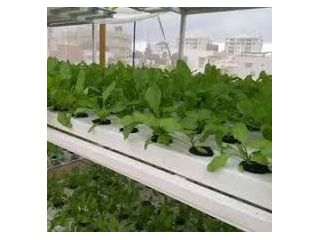 farm-mechanized-products-manufacturer-exporter-aspeess-small-0