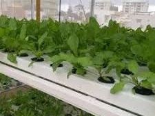 farm-mechanized-products-manufacturer-exporter-aspeess