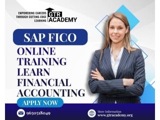 sap-fico-online-training-learn-financial-accounting-small-0