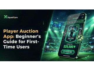 what-to-look-for-in-a-cricket-player-auction-platform-small-0
