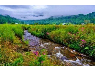 arunachal-pradesh-group-tour-package-from-mumbai-small-4