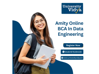 amity-online-bca-in-data-engineering-career-in-big-data-ai-small-0