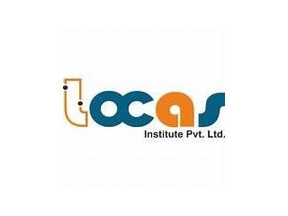 best-digital-marketing-institute-in-ludhiana-locas-institute-small-0