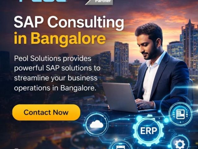sap-consulting-in-bangalore-sap-consulting-in-india