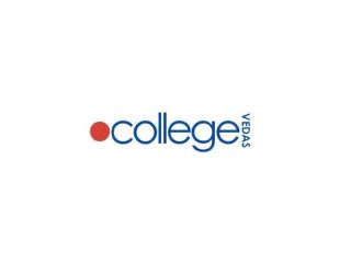 online-mba-programs-for-career-growth-college-vedas-small-0