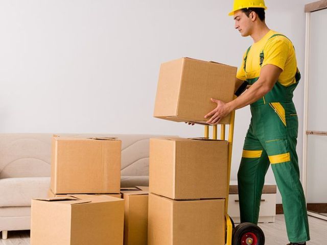 packers-and-movers-in-donaje