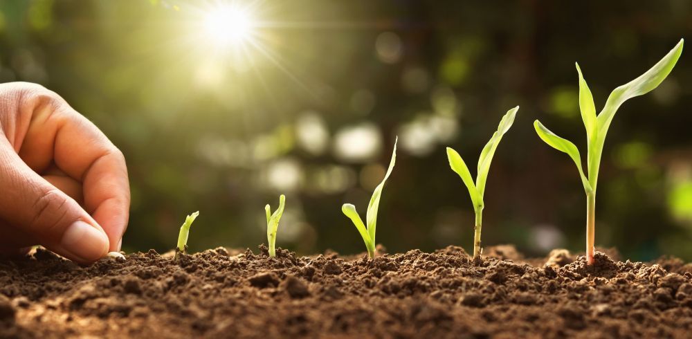 free-access-agricultural-research-journals-big-0