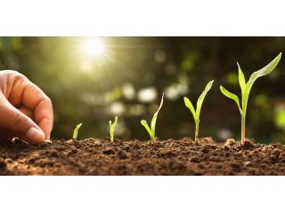 free-access-agricultural-research-journals-small-0