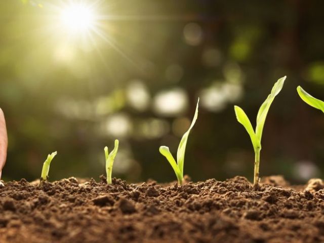 free-access-agricultural-research-journals